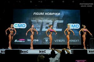 FIGURE НОВИЧКИ